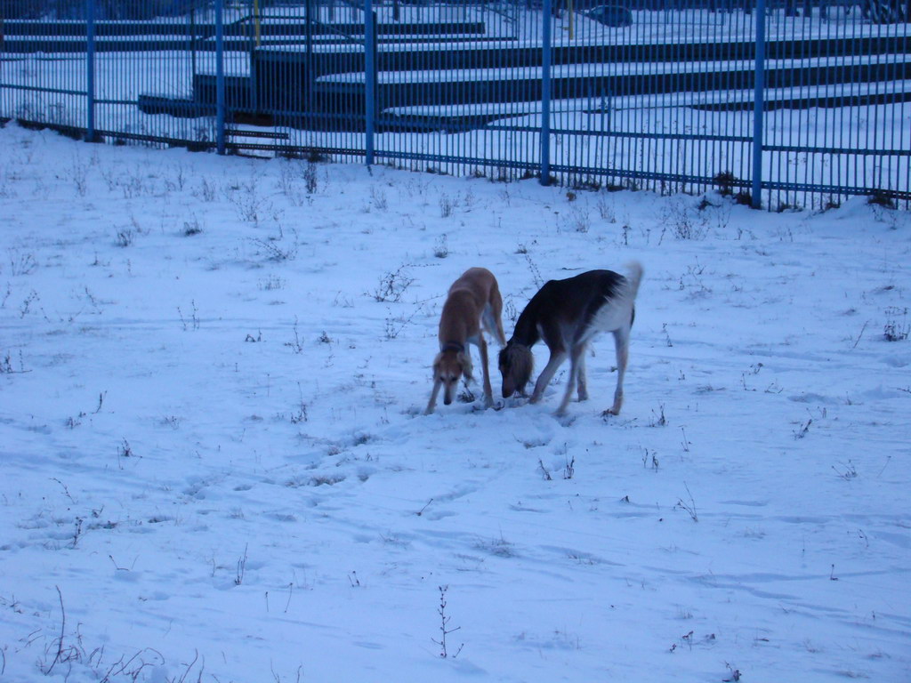 Anička 2.1.2008