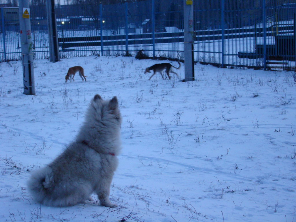 Anička 2.1.2008