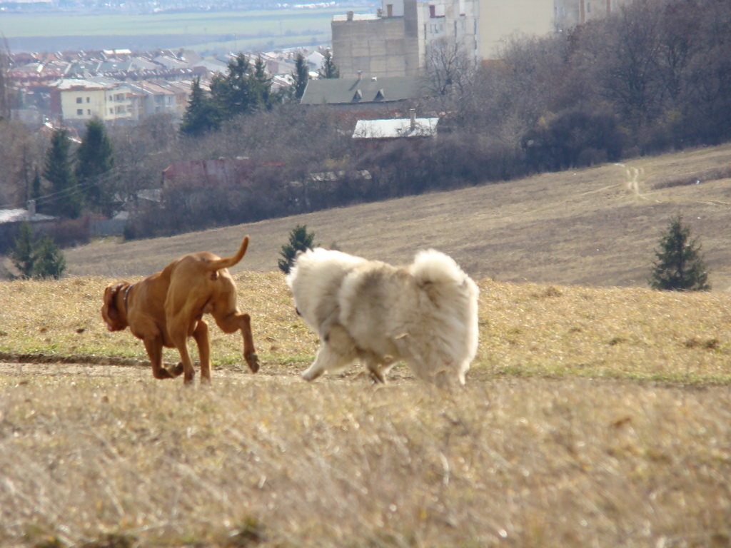 Bankov 02.03.2008