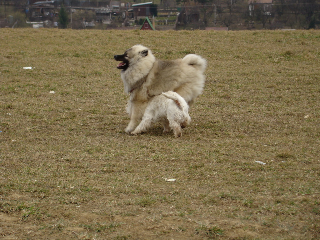 Bankov 08.03.2008