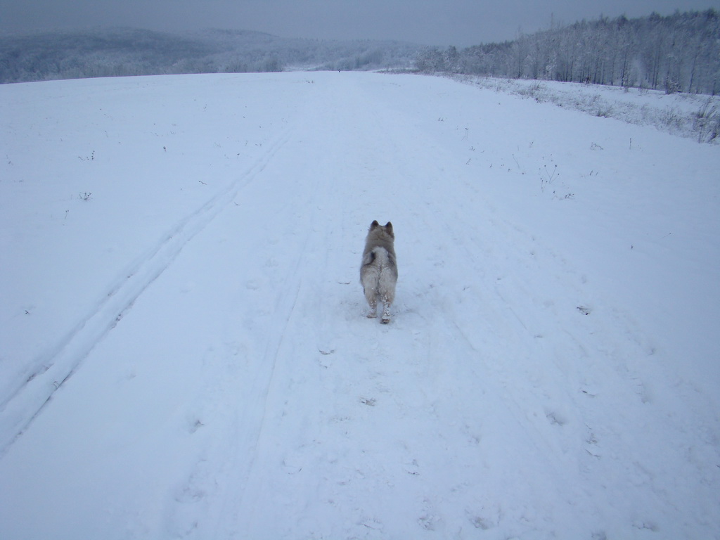 Bankov 1.1.2008