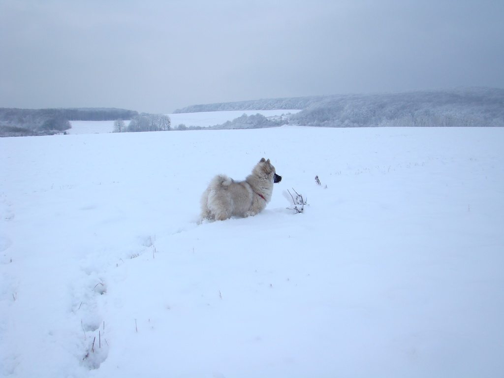 Bankov 1.1.2008