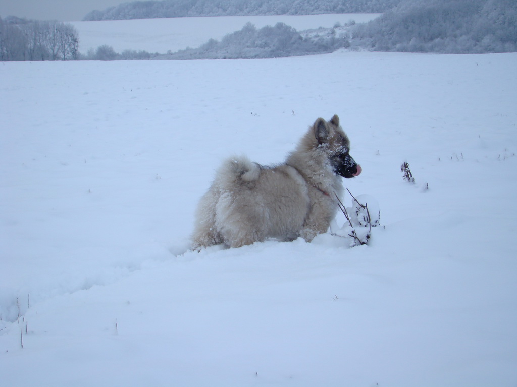 Bankov 1.1.2008