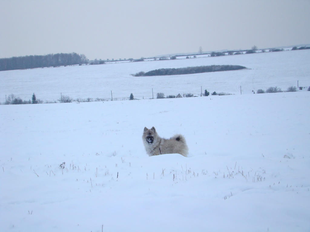 Bankov 1.1.2008