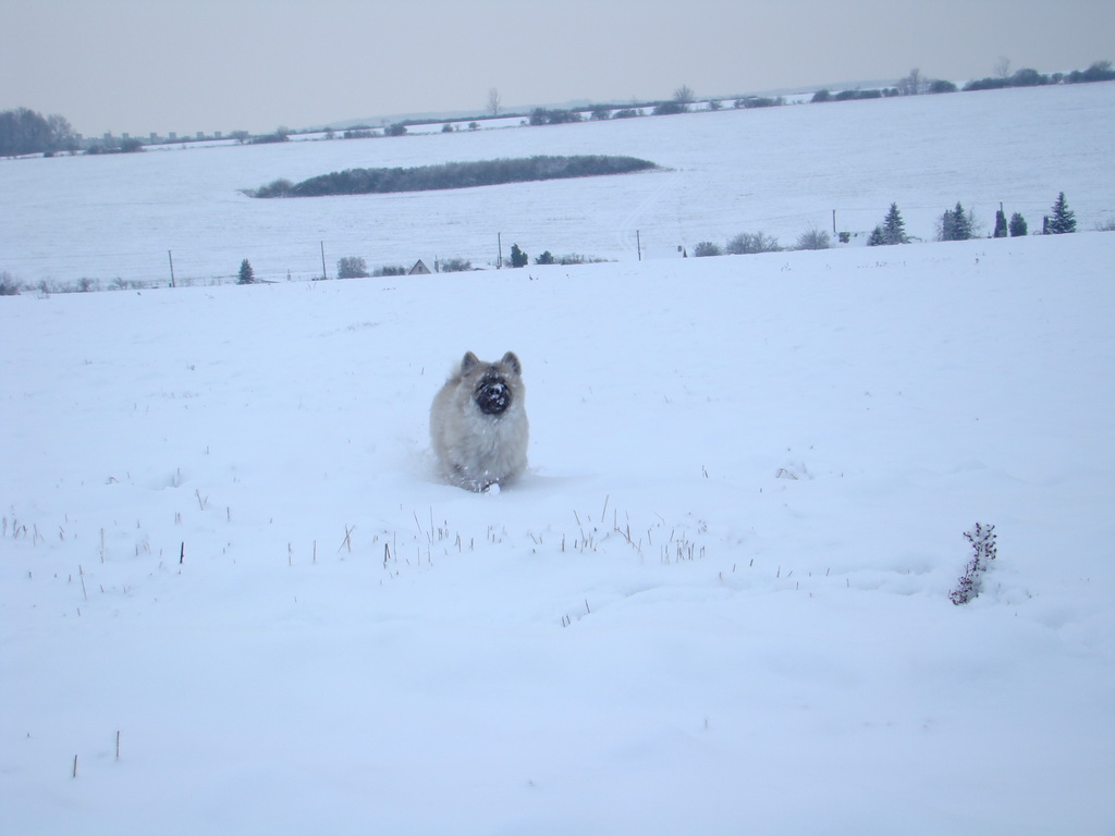 Bankov 1.1.2008