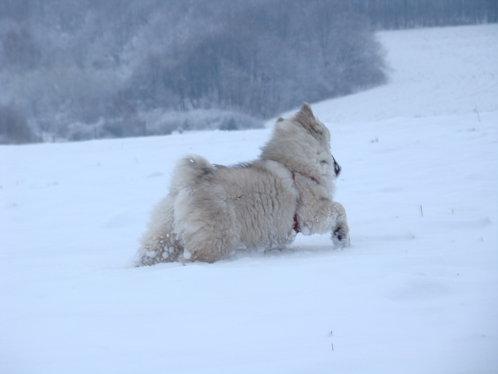 Bankov 1.1.2008