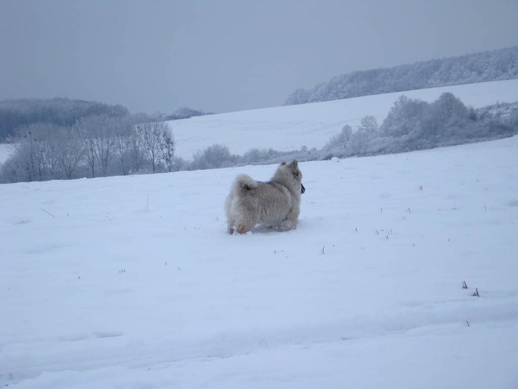 Bankov 1.1.2008