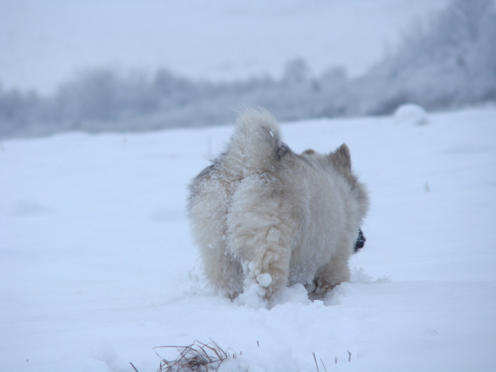 Bankov 1.1.2008