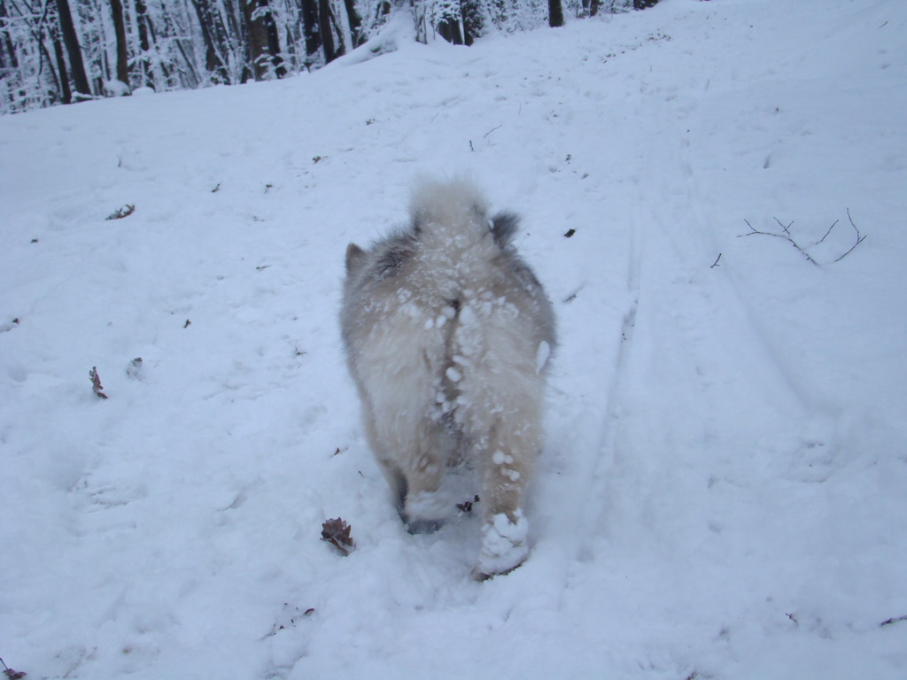 Bankov 1.1.2008