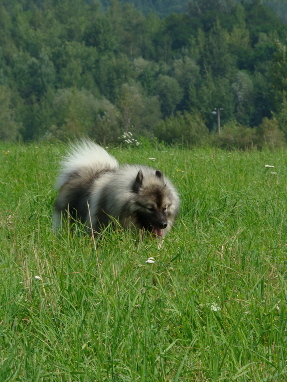 Bankov 16.08.2008