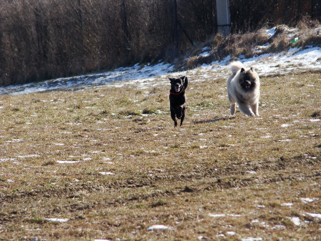 Bankov 17.02.2008