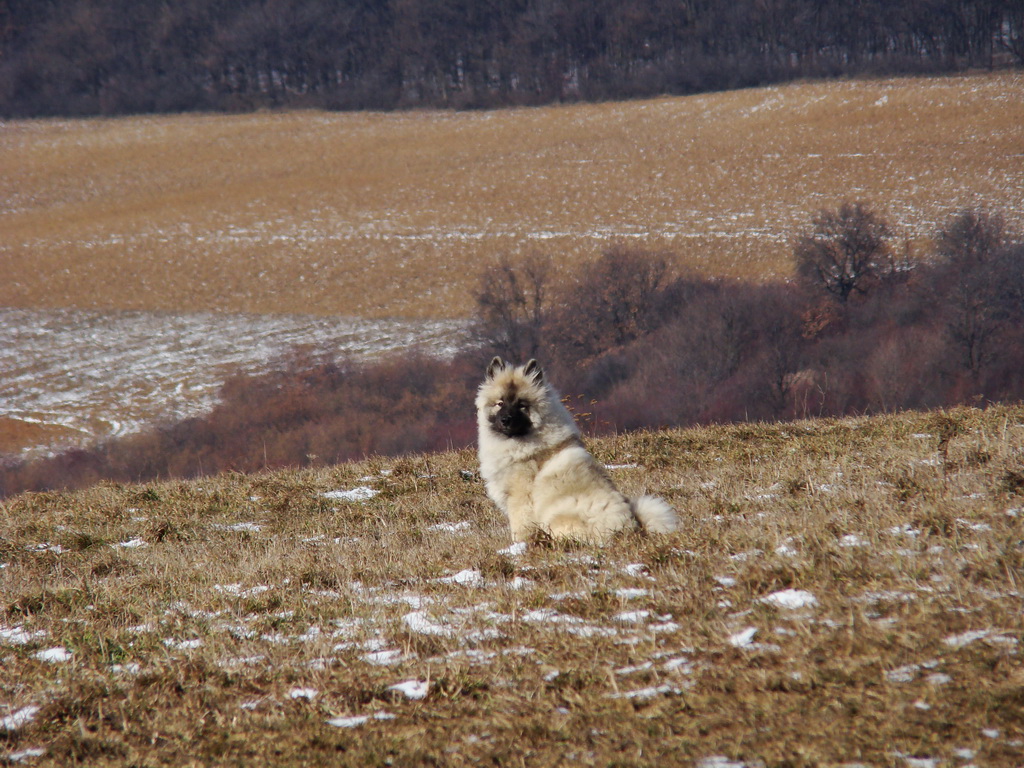 Bankov 17.02.2008