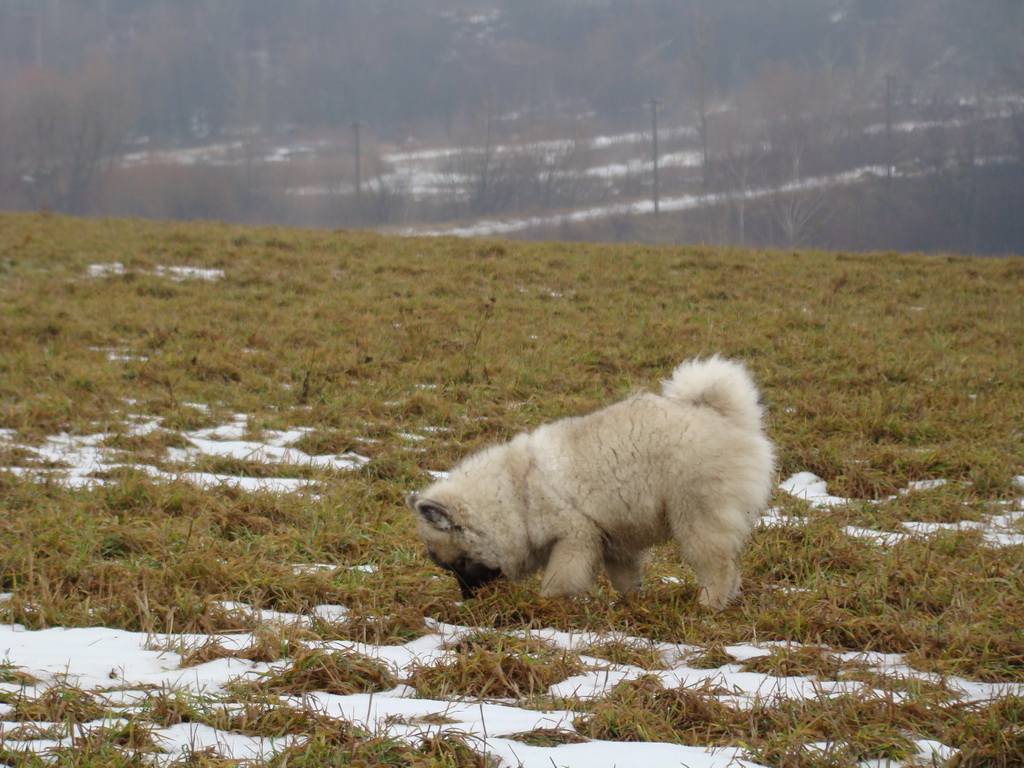 Bankov 20.01.2008