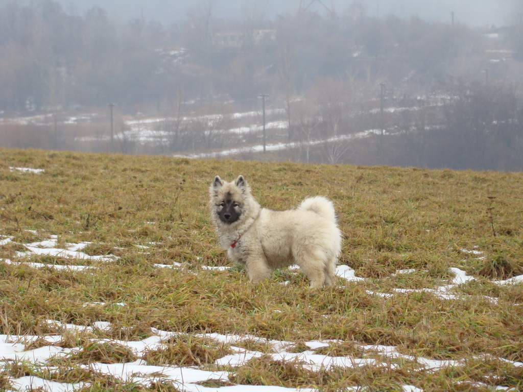 Bankov 20.01.2008