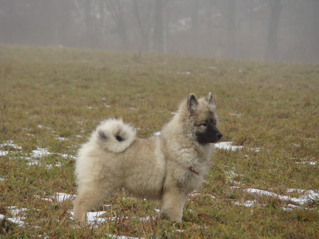 Bankov 20.01.2008