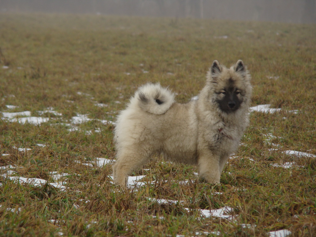 Bankov 20.01.2008