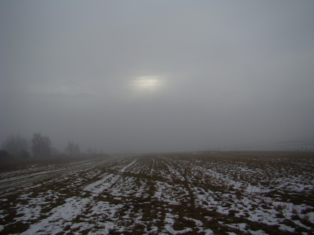 Bankov 20.01.2008