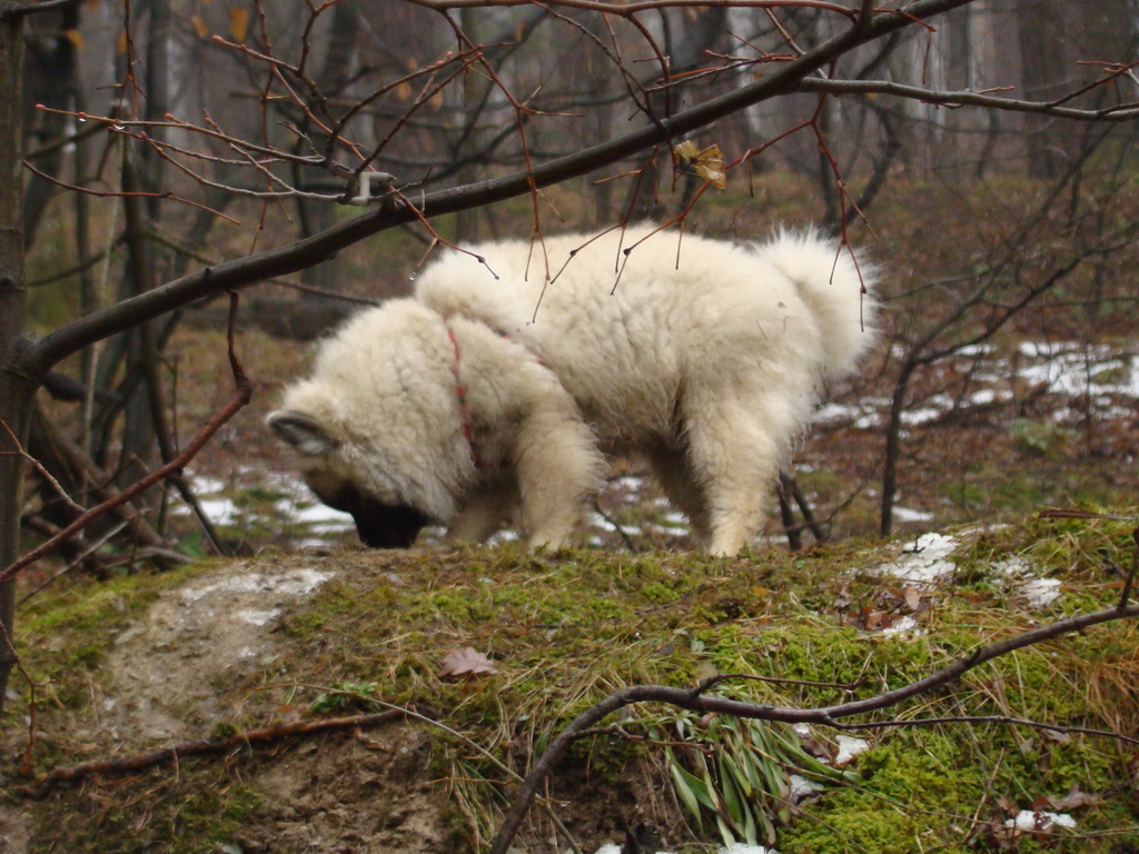 Bankov 20.01.2008