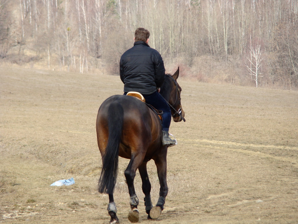 Bankov 24.02.2008