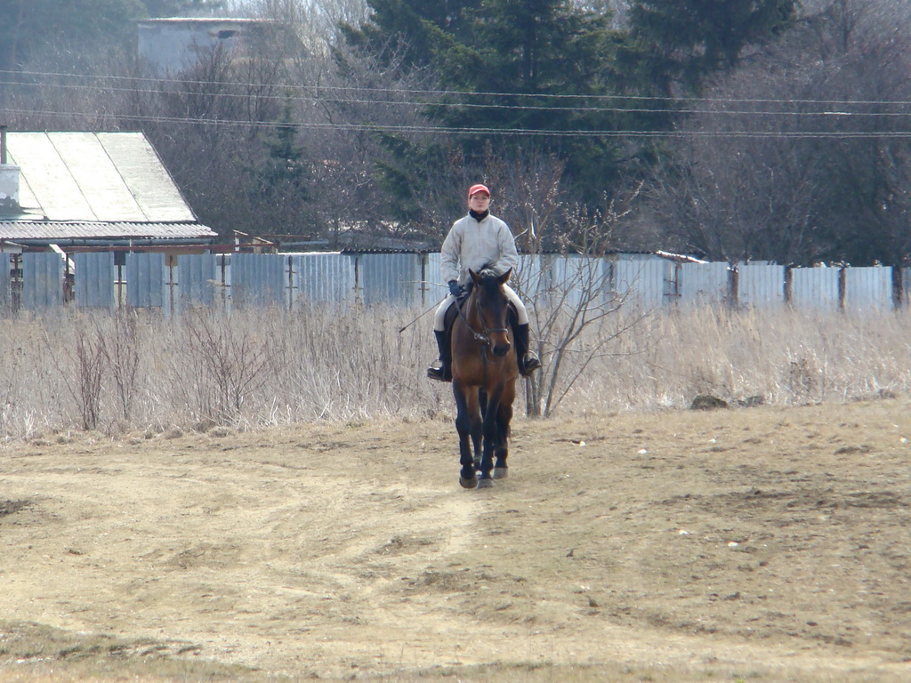 Bankov 24.02.2008