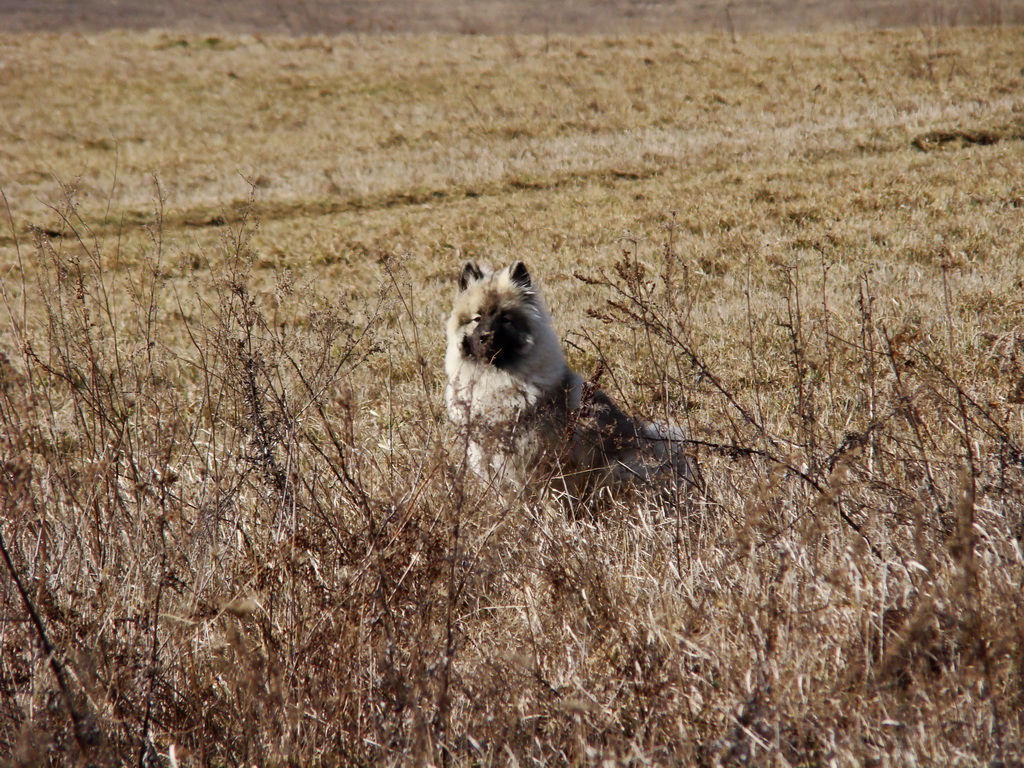 Bankov 24.02.2008