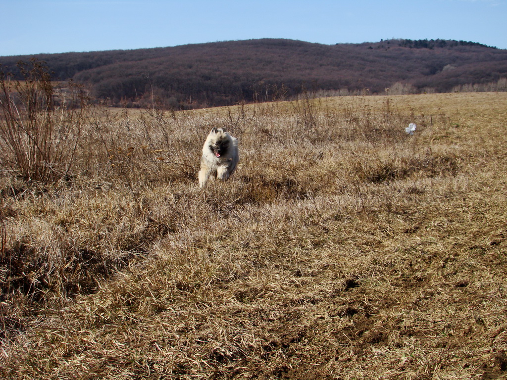 Bankov 24.02.2008