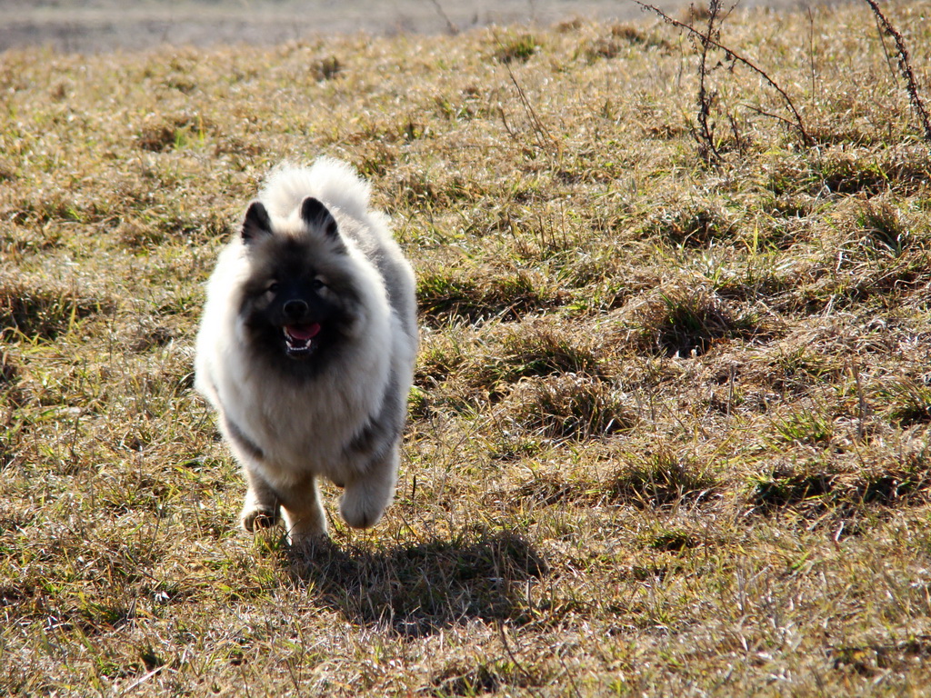 Bankov 24.02.2008