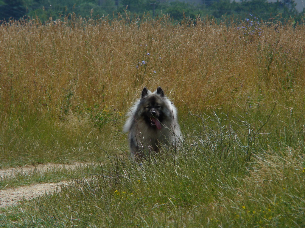 Bankov 29.06.2008