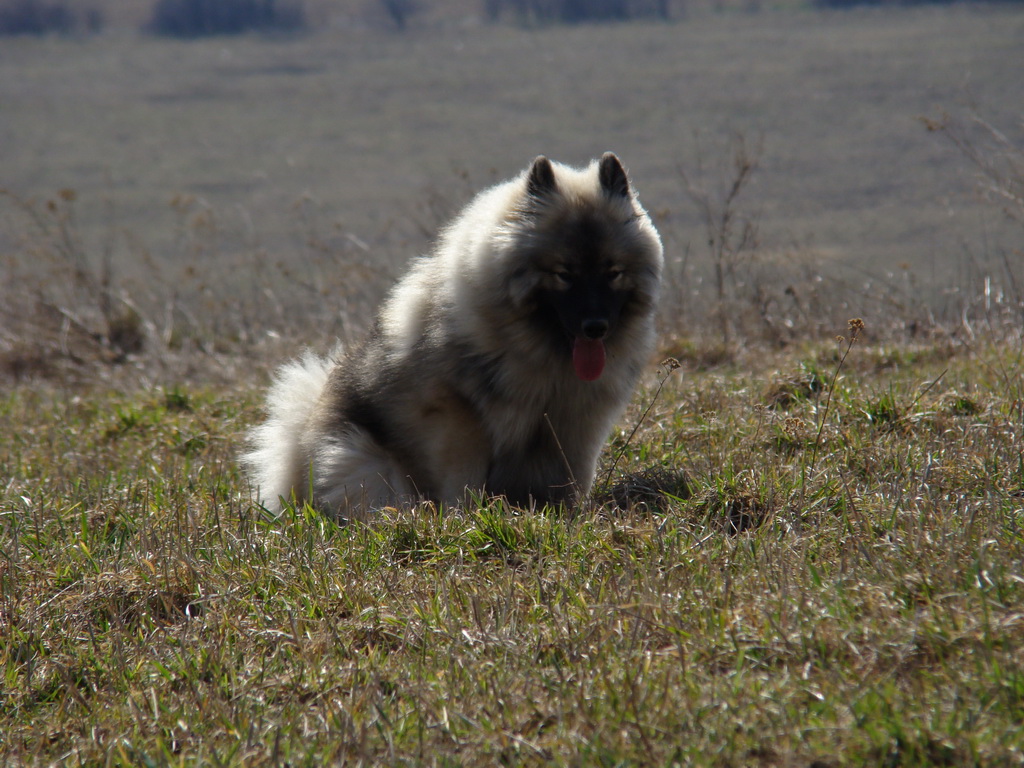 Bankov 30.03.2008