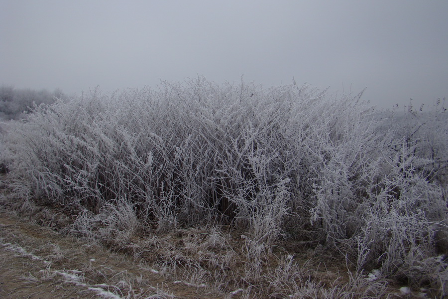 Bankov 31.12.2008