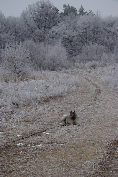 Bankov 31.12.2008