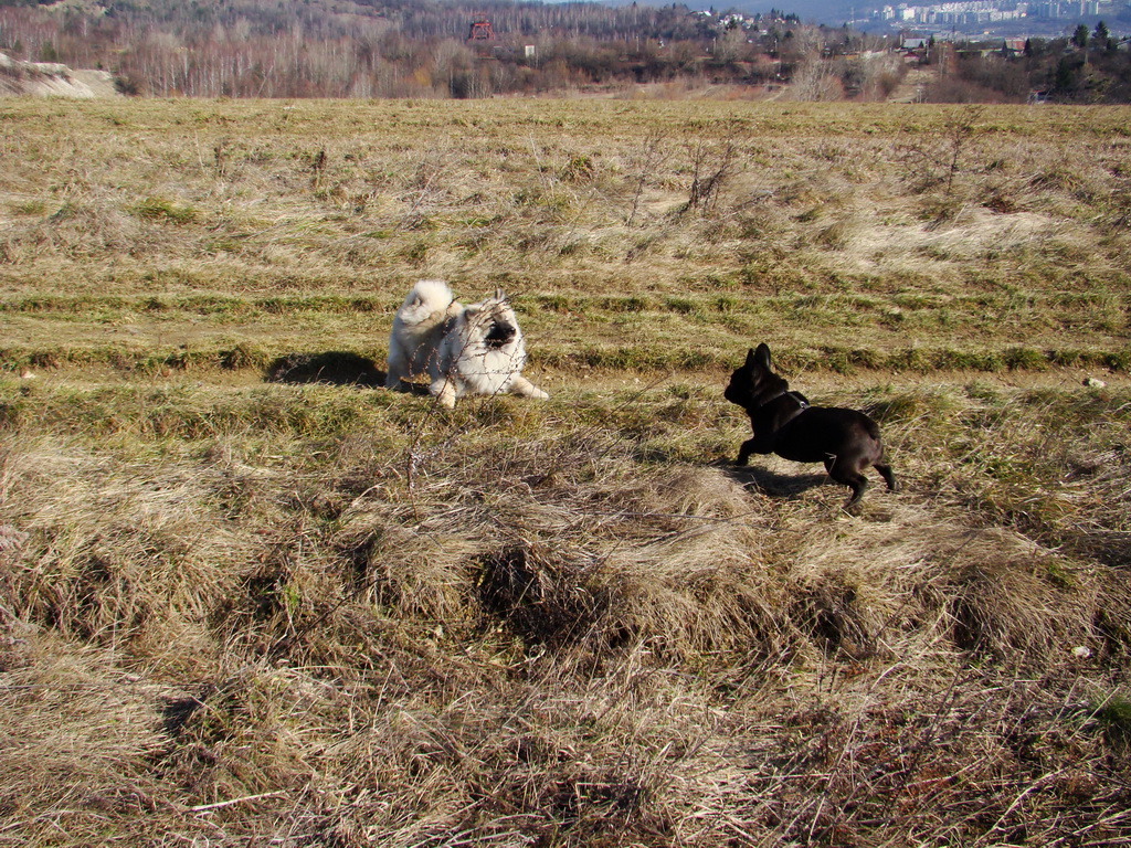 Bankov & Anička 10.02.2008