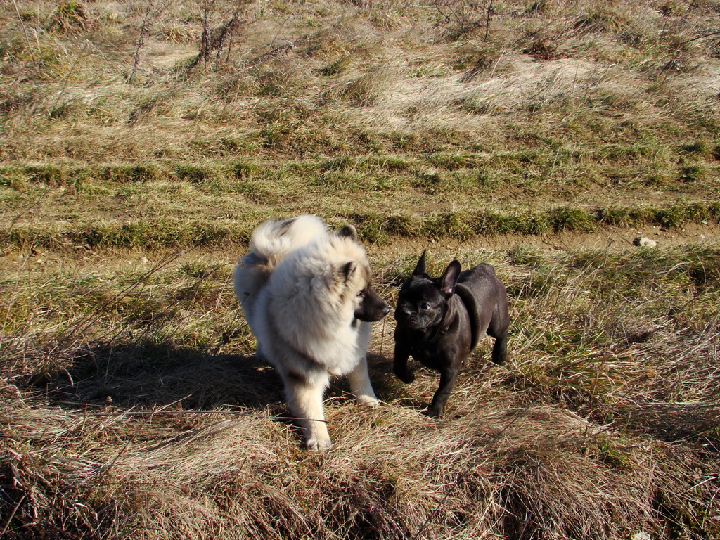 Bankov & Anička 10.02.2008