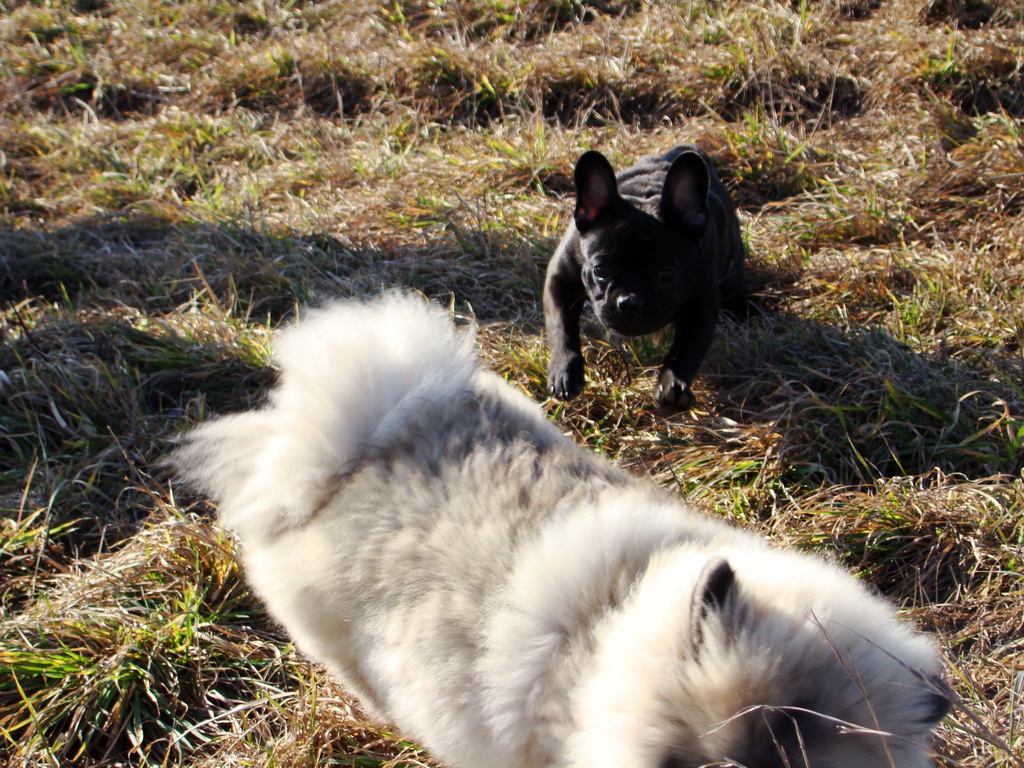 Bankov & Anička 10.02.2008