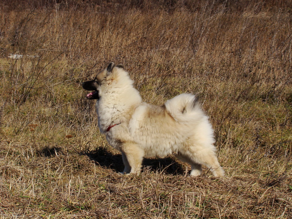 Bankov & Anička 10.02.2008