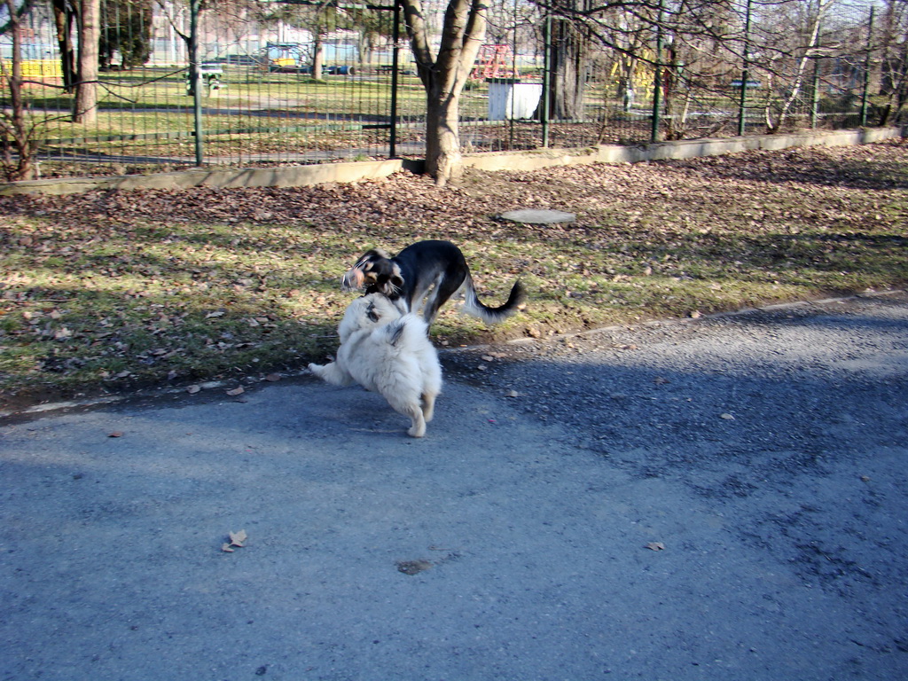 Bankov & Anička 10.02.2008