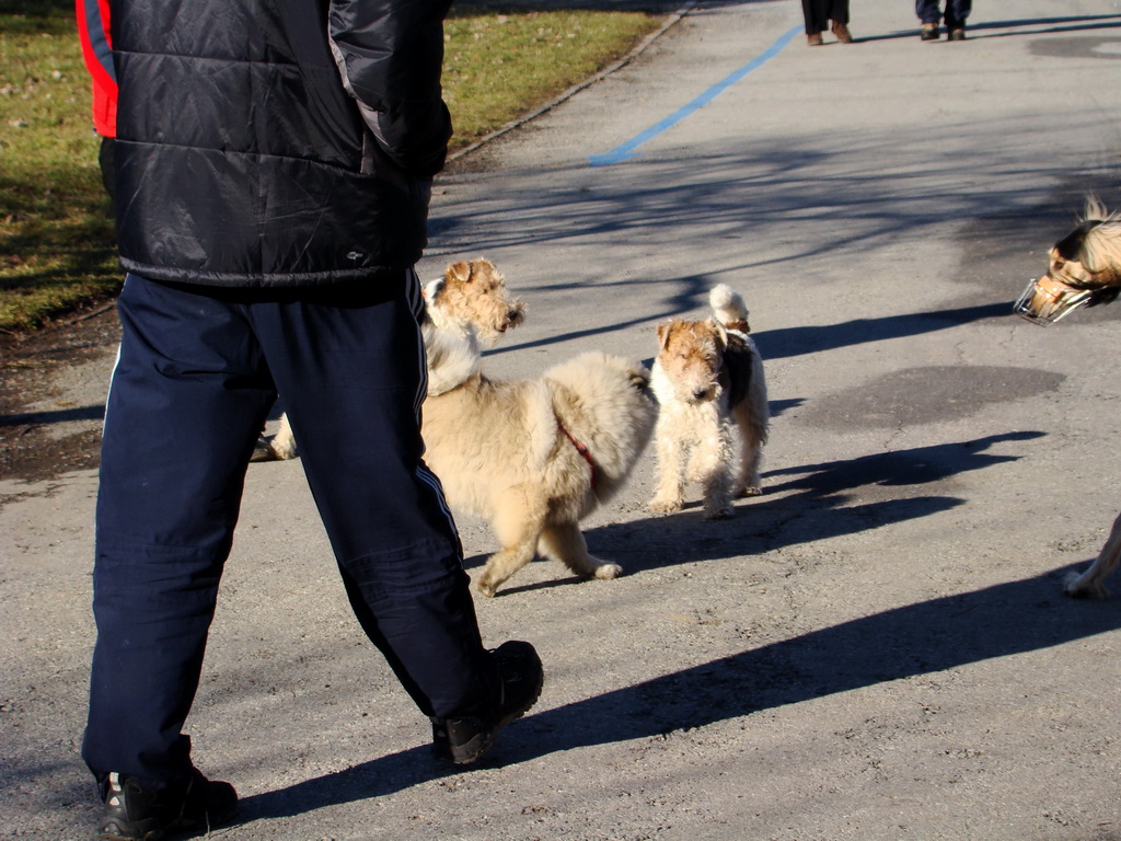 Bankov & Anička 10.02.2008