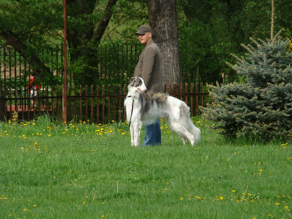 Celoštátna výstava psov Banská Bystrica 04.05.2008