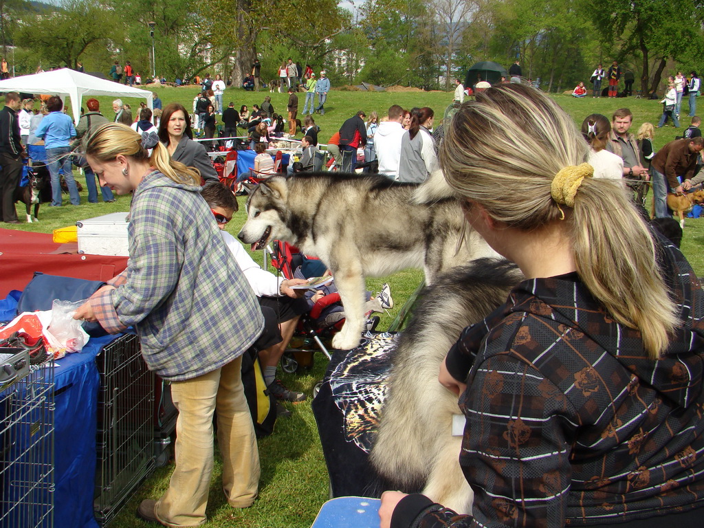 Celoštátna výstava psov Banská Bystrica 04.05.2008