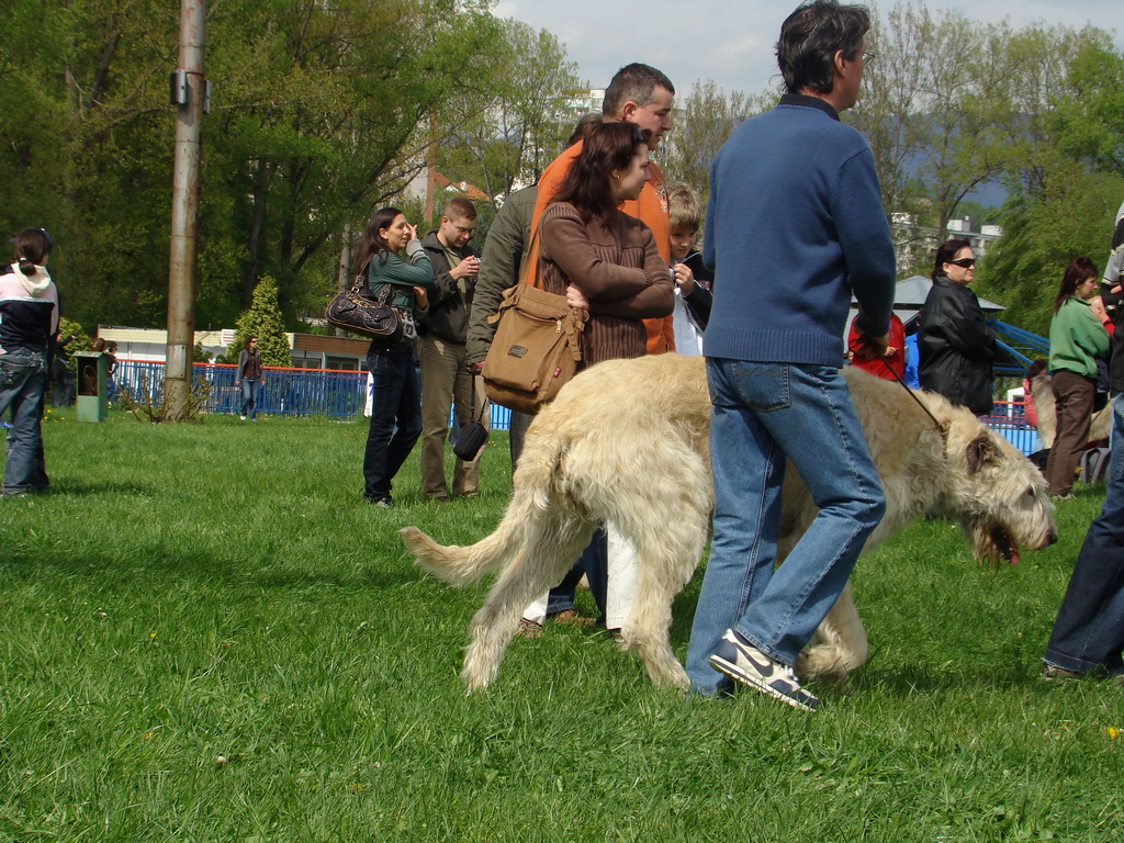 Celoštátna výstava psov Banská Bystrica 04.05.2008