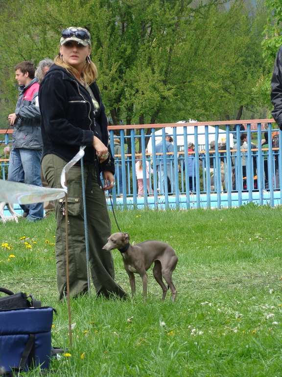 Celoštátna výstava psov Banská Bystrica 04.05.2008