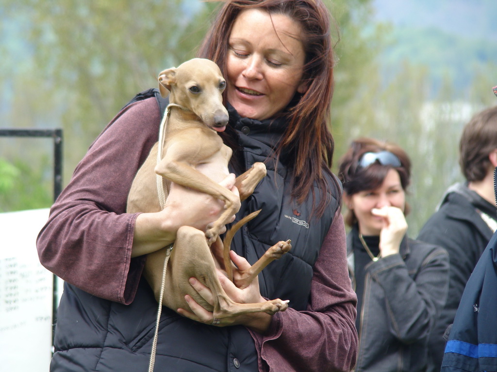 Celoštátna výstava psov Banská Bystrica 04.05.2008