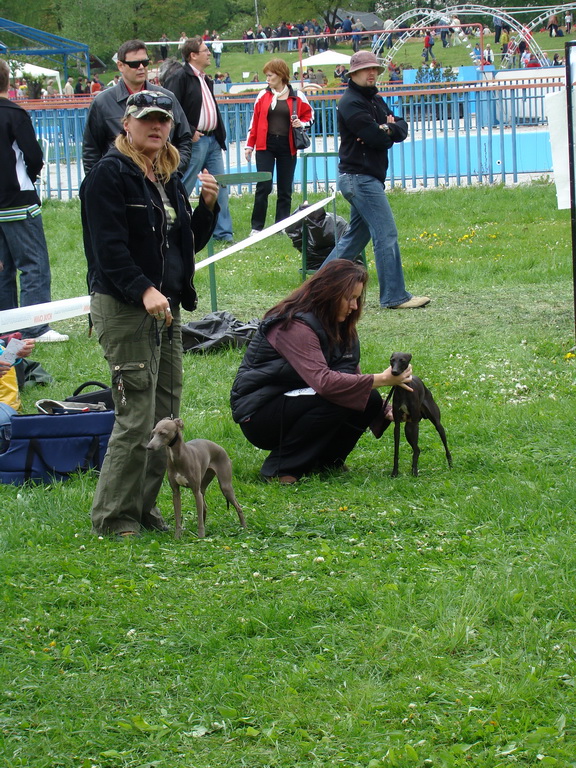 Celoštátna výstava psov Banská Bystrica 04.05.2008