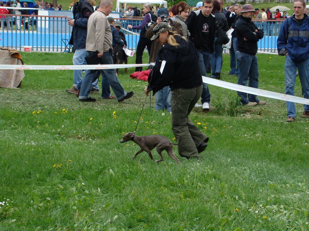 Celoštátna výstava psov Banská Bystrica 04.05.2008