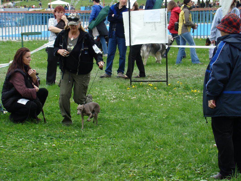 Celoštátna výstava psov Banská Bystrica 04.05.2008