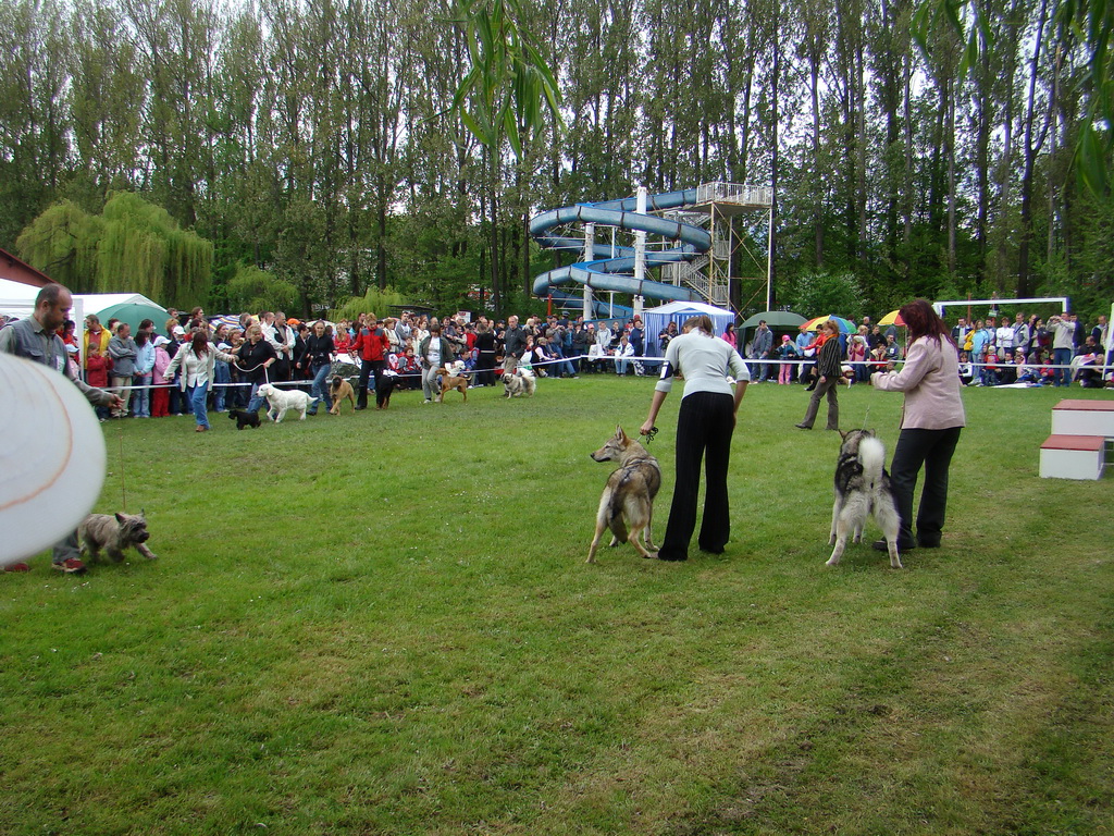 Celoštátna výstava psov Banská Bystrica 04.05.2008