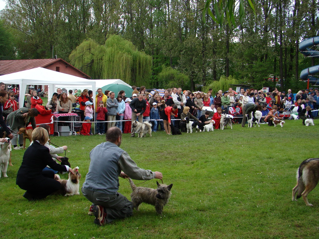 Celoštátna výstava psov Banská Bystrica 04.05.2008