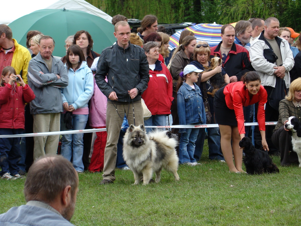 Celoštátna výstava psov Banská Bystrica 04.05.2008