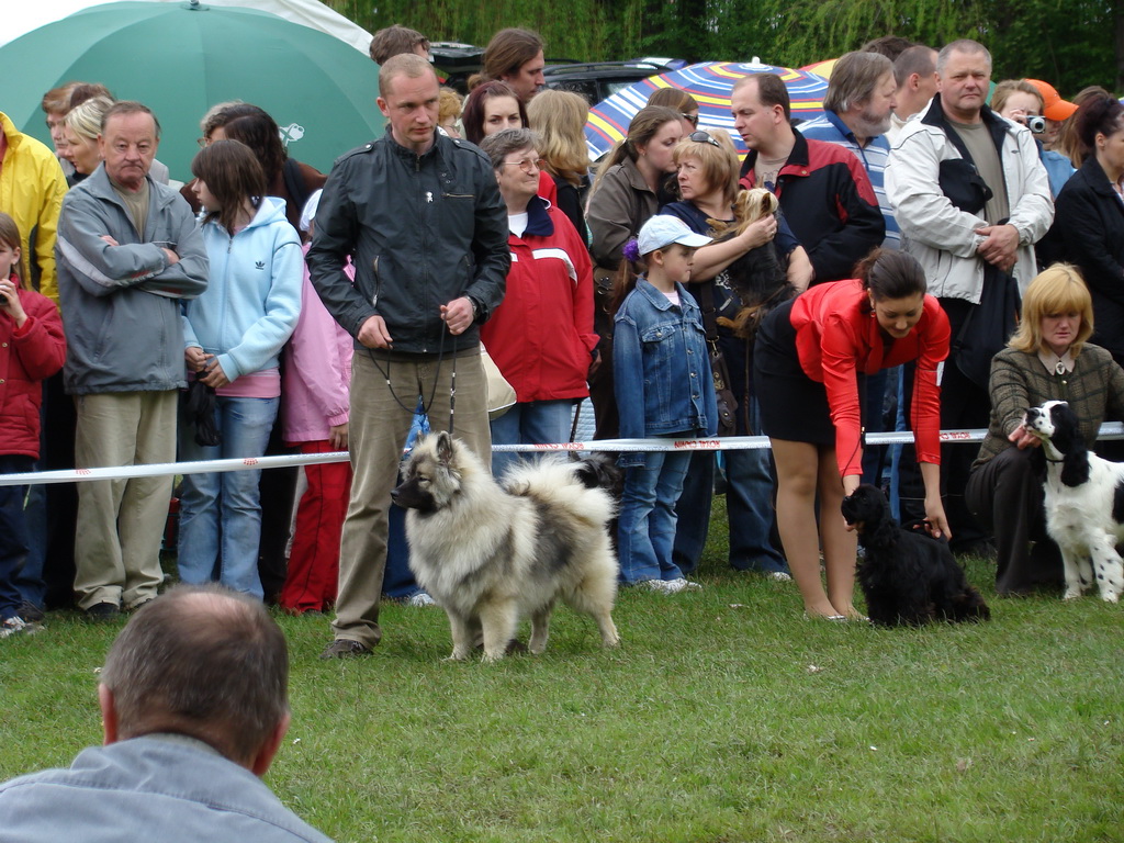 Celoštátna výstava psov Banská Bystrica 04.05.2008