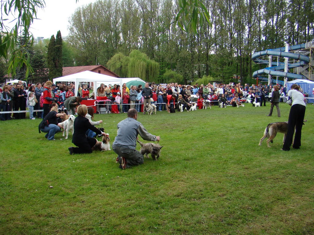 Celoštátna výstava psov Banská Bystrica 04.05.2008